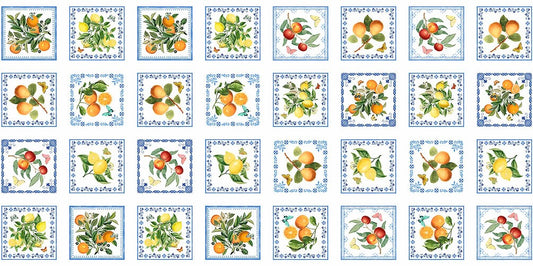 Mediterranean Riviera - Citrus Vignettes