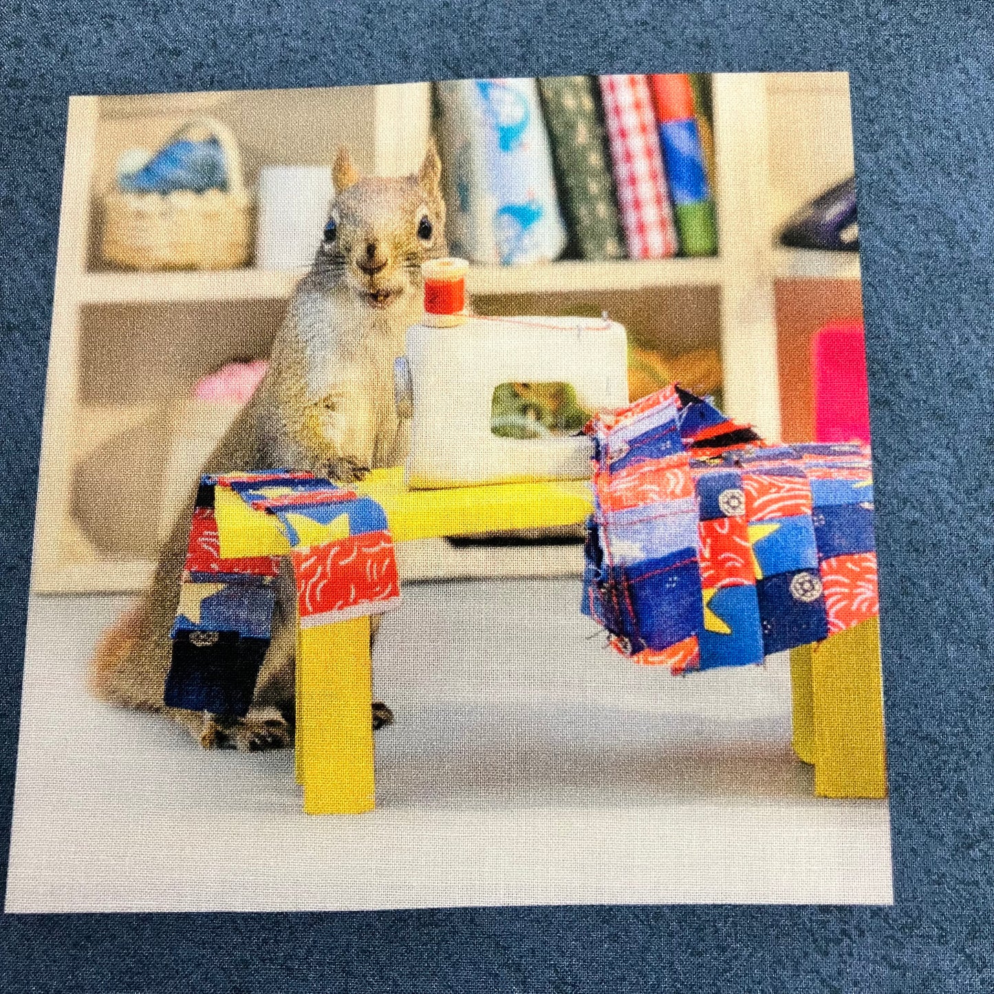The Secret Life of Squirrels IV - Cotton Panel