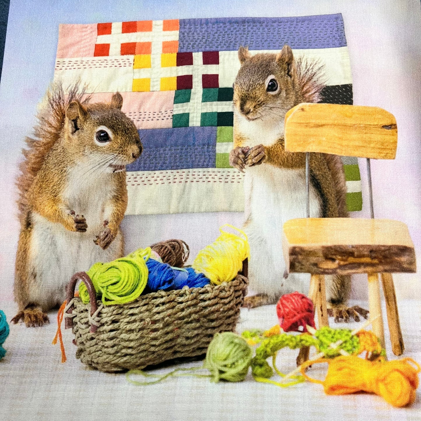 The Secret Life of Squirrels IV - Cotton Panel