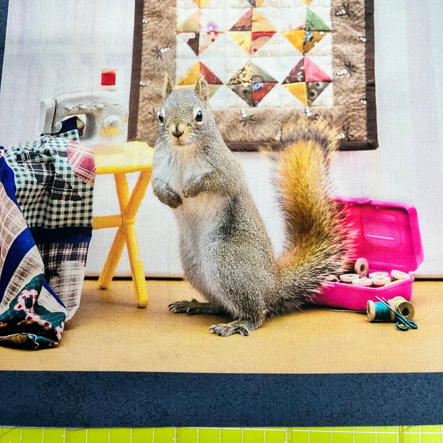 The Secret Life of Squirrels IV - Cotton Panel