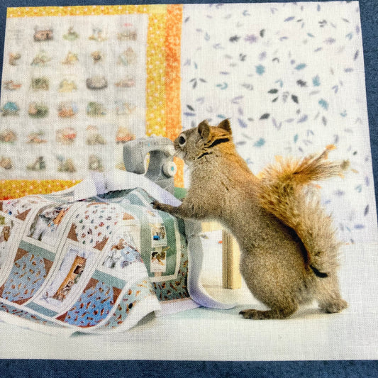 The Secret Life of Squirrels IV - Cotton Panel