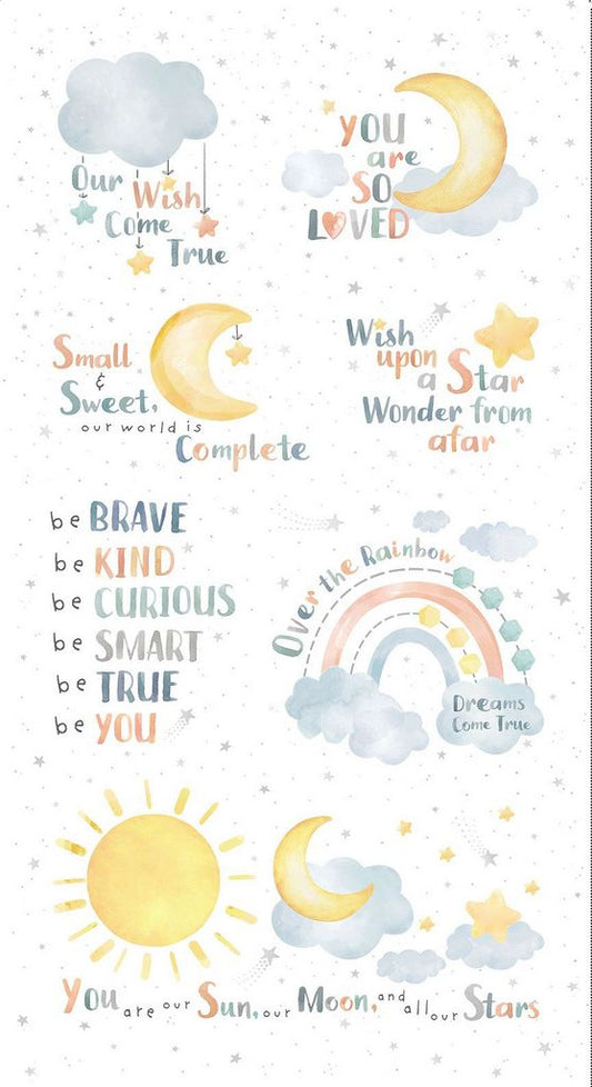 Wish and Wonder Panel