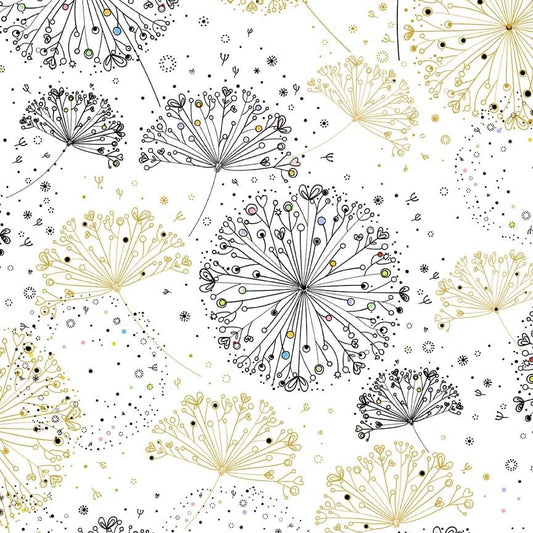 Dandelion Wishes - Dandelions on White