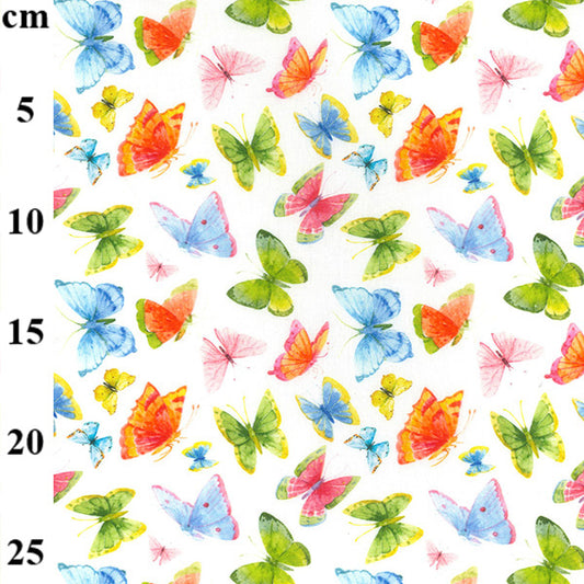 Bright butterflies