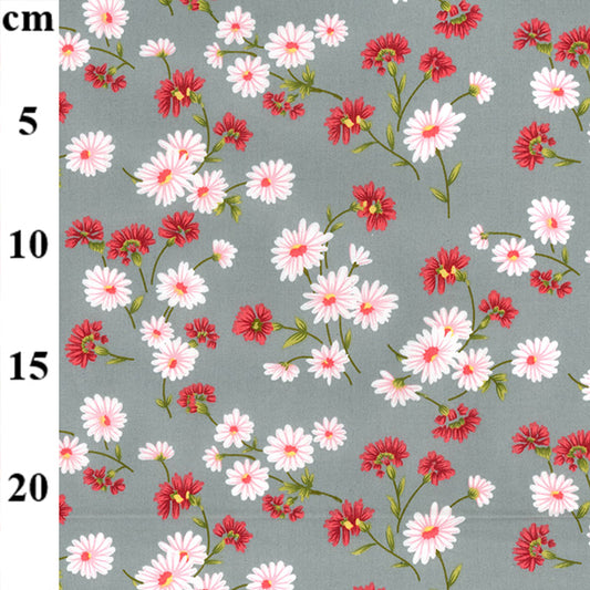END OF BOLT (Cotton Poplin)- 470cm - Daisies on grey
