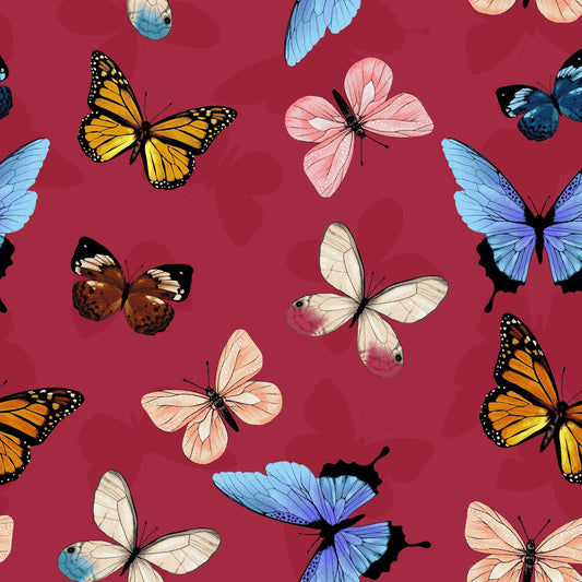 Canto - Butterflies on Red