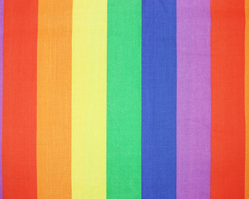 Rainbow Stripe - Large